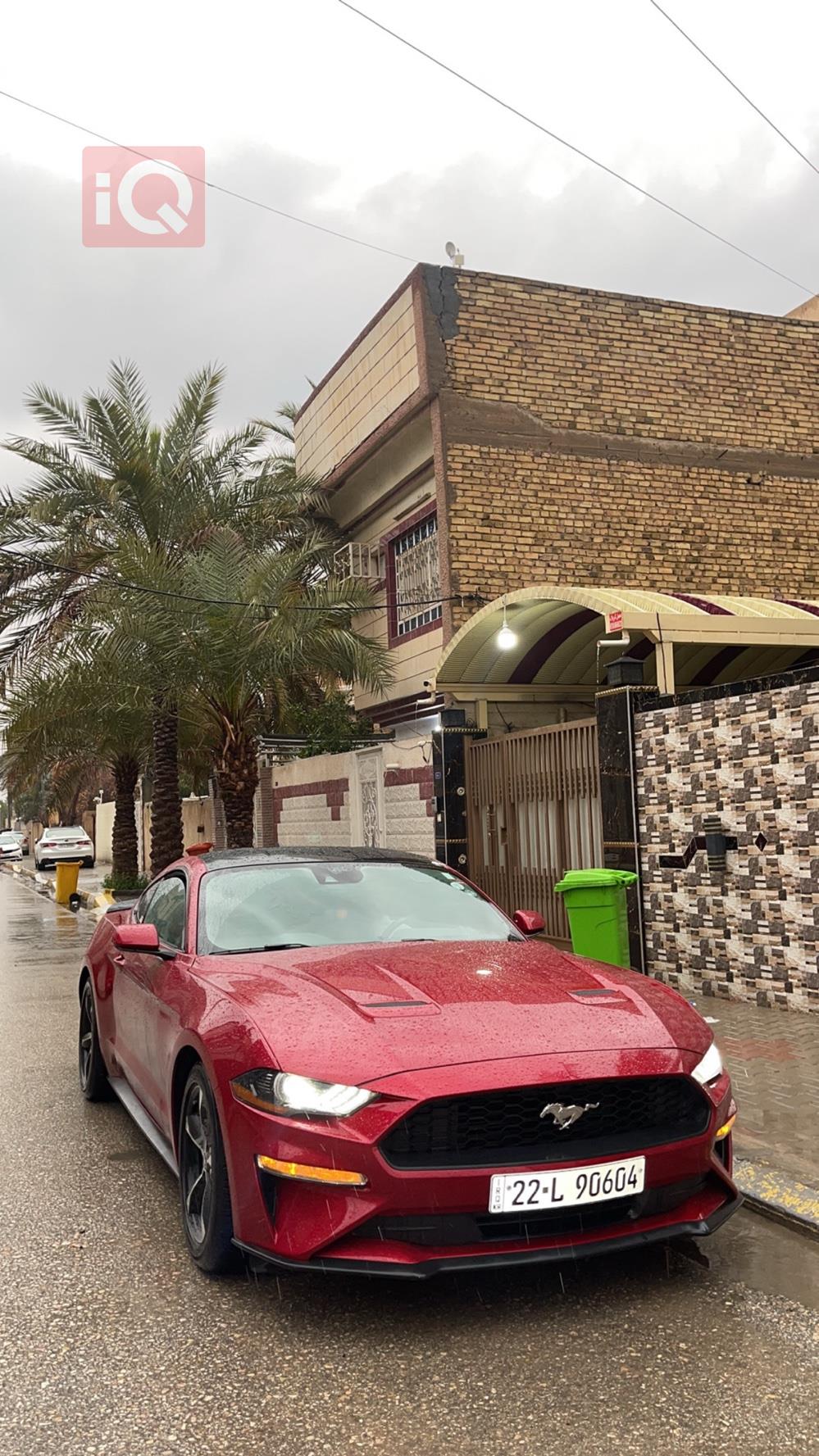 فورد موستانج
